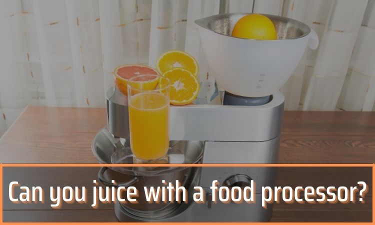 Can you juice with a food processor?
